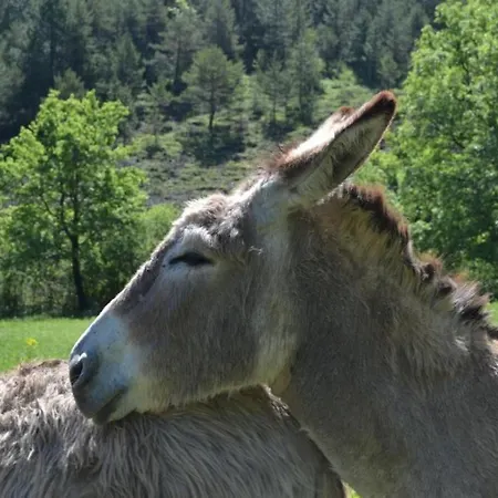 Dom wakacyjny Du Bout Du Monde La Feniere Barrême