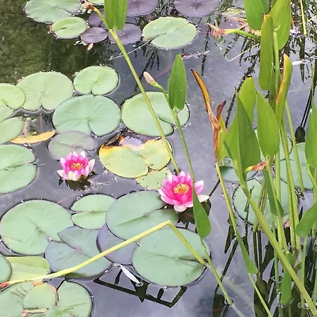 Du Bout Du Monde La Feniere Дом отдыха *