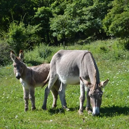 Du Bout Du Monde La Feniere Дом отдыха Barreme