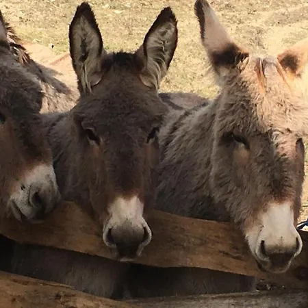 Du Bout Du Monde La Feniere *