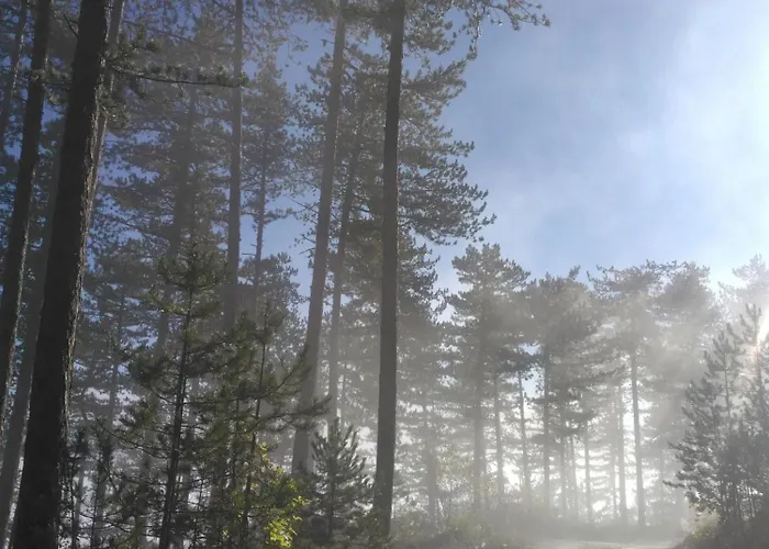 Holiday home Du Bout Du Monde La Feniere *