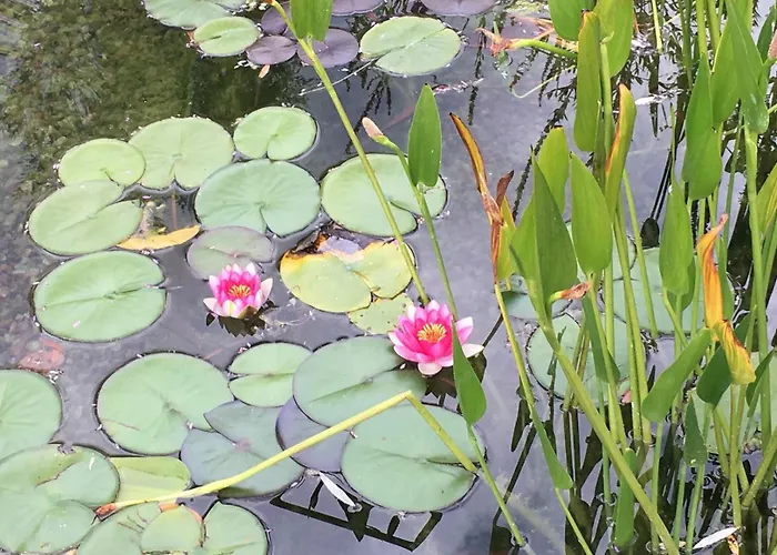 Du Bout Du Monde La Feniere Holiday home *