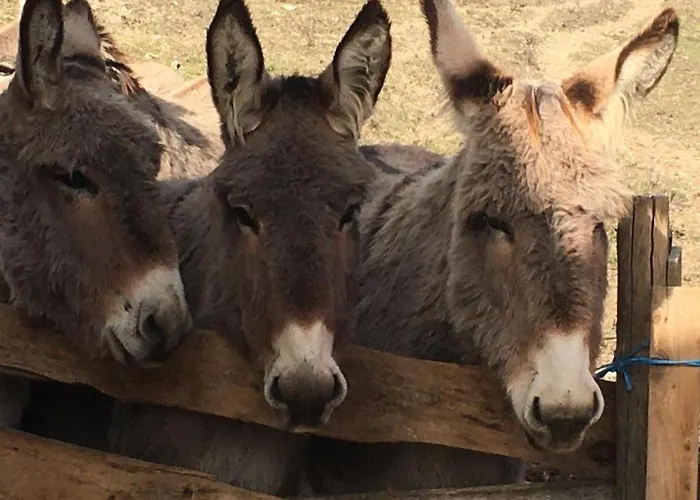 Du Bout Du Monde La Feniere *